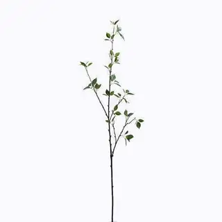 Artificial Spanish Cedar Foliage, Single Trunk, Without A Pot