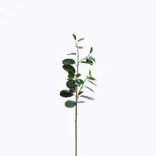Plastic Ficus Microcarpa Foliage