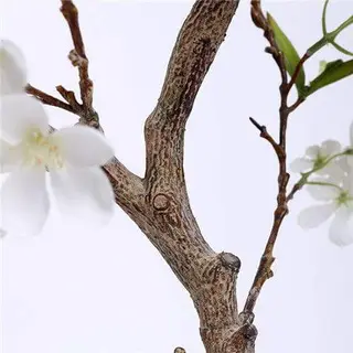 Plastic Apple Blossom Branches
