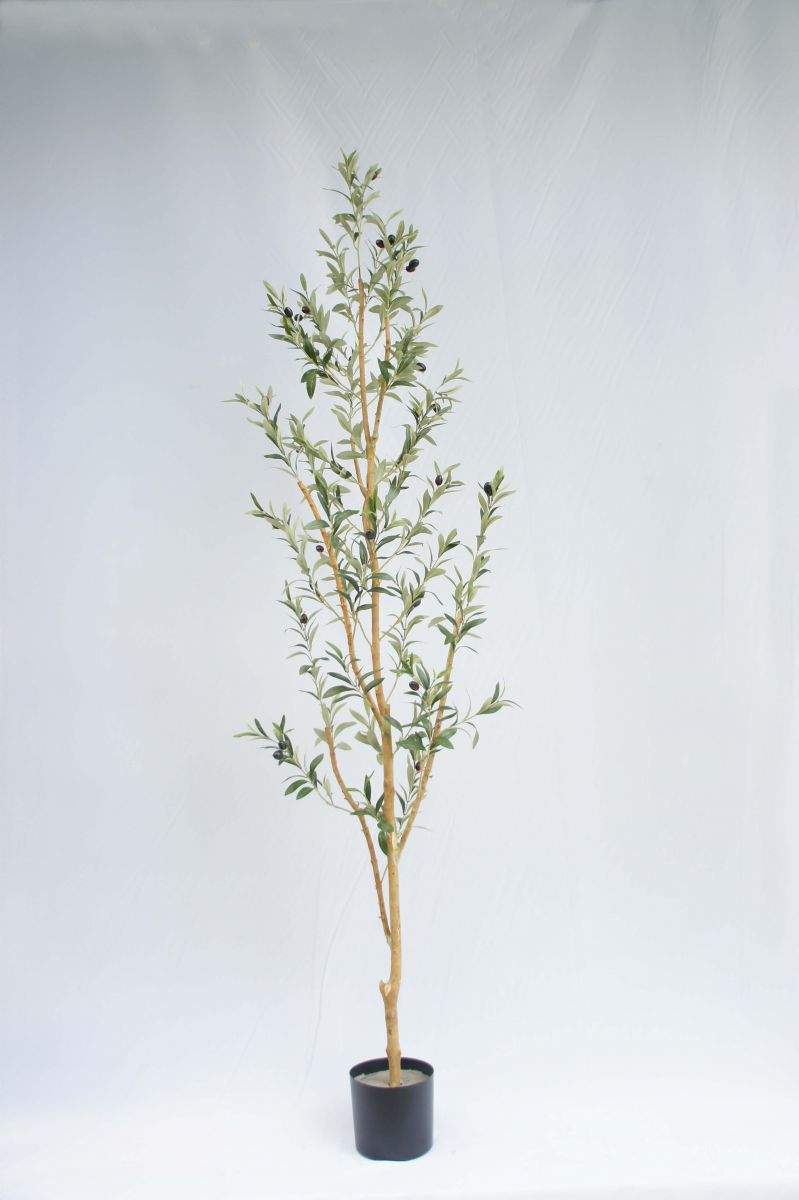 Fake Olive Tree with Fruits, Real Stem, 714 Leaves, 210 CM Fake Olive Tree with Fruits, Real Stem, 714 Leaves, 210 CM
