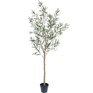 Wholesale PE Potted Olive Bonsai, 180 CM