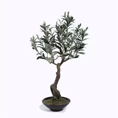 Plastic Olive Tree in Pots