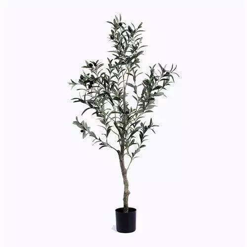 Silk Olive Tree, Faux Olive Tree