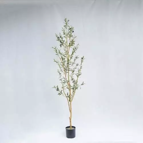 Fake Olive Tree with Fruits, Real Stem, 714 Leaves, 210 CM