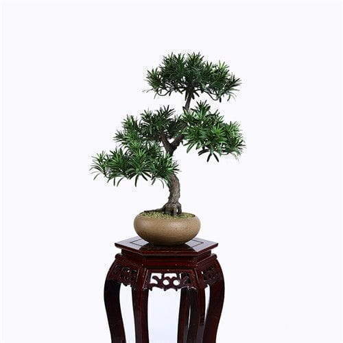 Faux Podocarpus Macrophyllus Bonsai, Plastic Leaf, 50CM