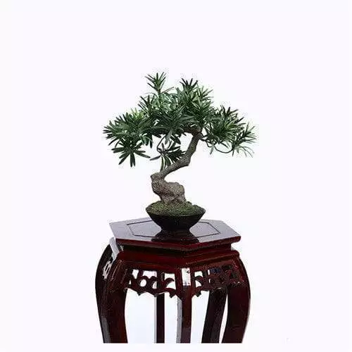 Faux Curved Buddhist Pine Tree