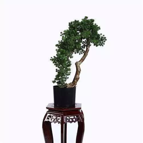 Artificial Buddhist Pine Tree Bonsai, Plastic Base, 80CM