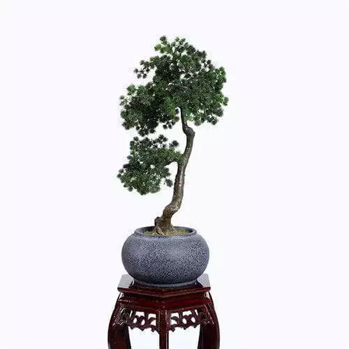 Plastic Pine Bonsai, Plastic Based, 60CM
