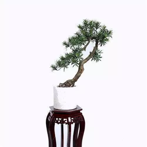 Artificial Pine Tree Bonsai For Indoors