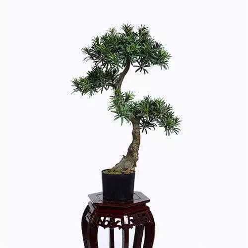 Faux Buddhist Pine Bonsai, Indoor Bonsai, 80CM