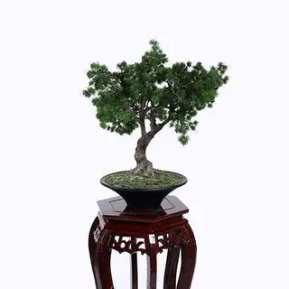 Faux Curved Pine Tree
