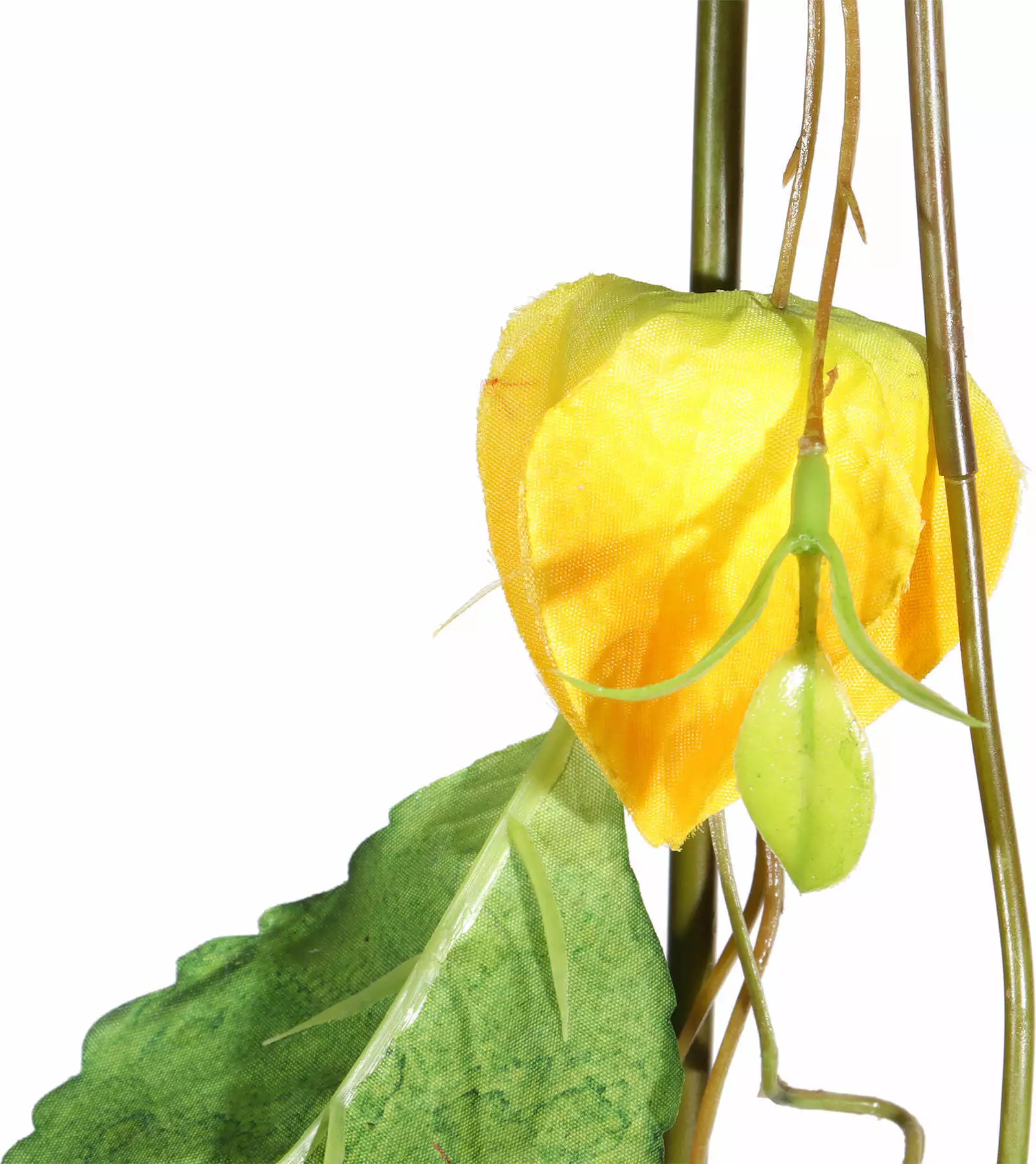 Hanging Vine flower details