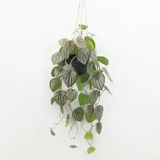 Natural Touch Hanging Artificial Pothos Plant, 91 CM