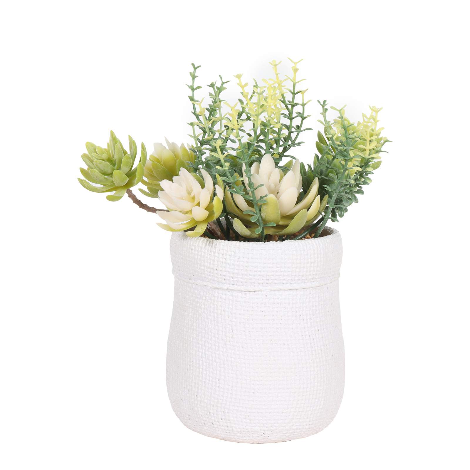 Faux Potted Succulent, 18 CM, White Pot