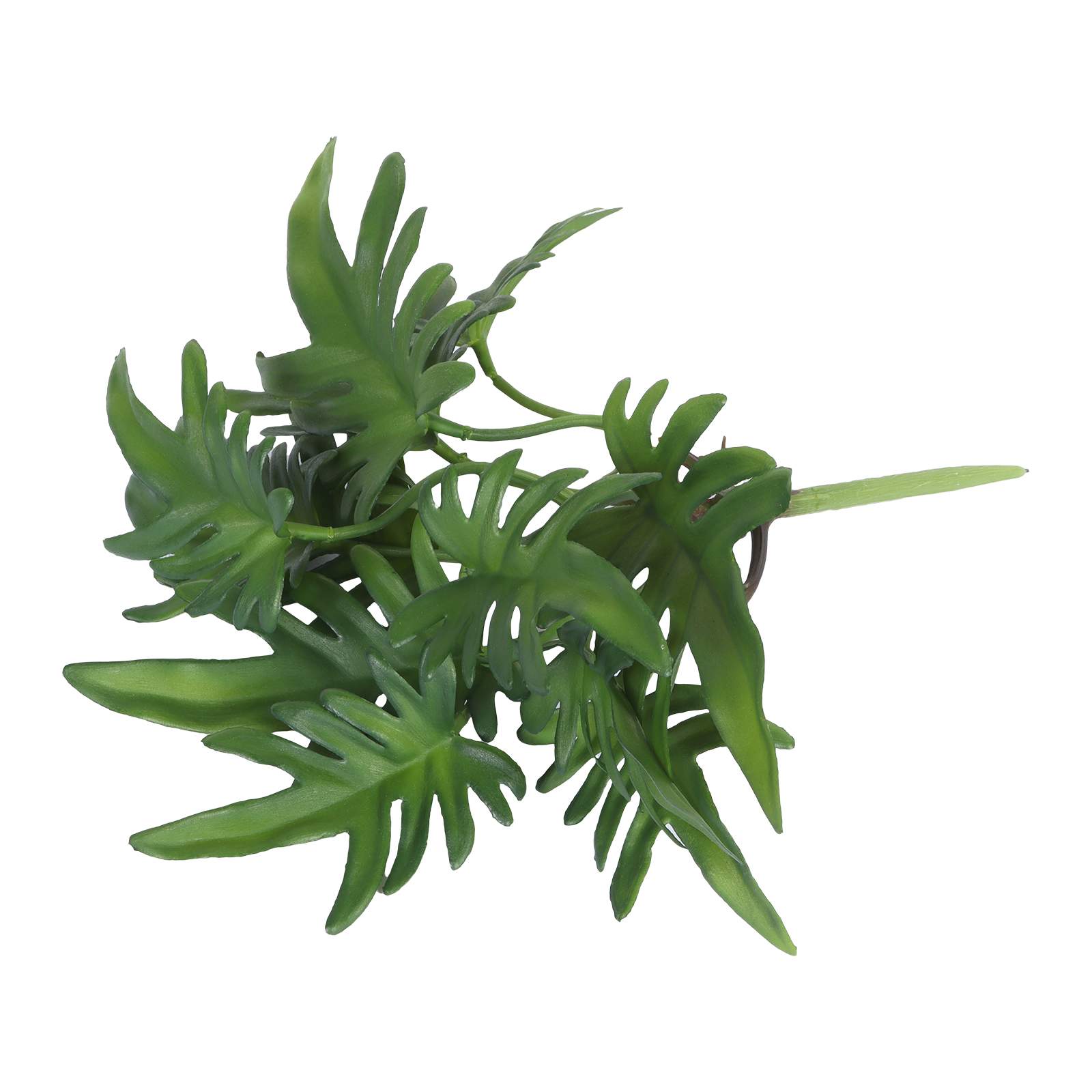 Leaf Bundle details Leaf Bundle details
