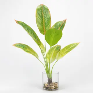Green Red Faux Rohdea Japonica Plants, 46 CM