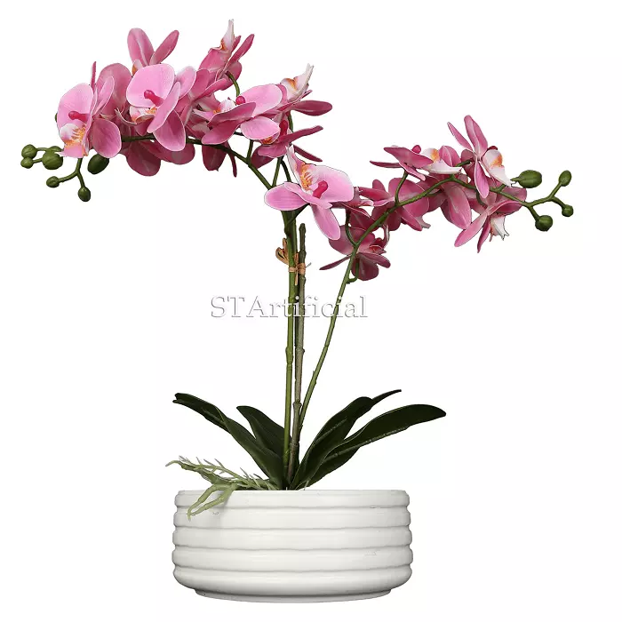 Artificial Moth Orchid Potted Plant, 50 CM
