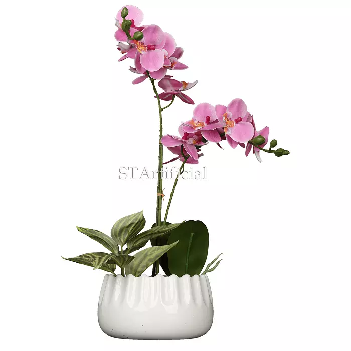 Faux Moth Orchid Potted Plant, 53 CM