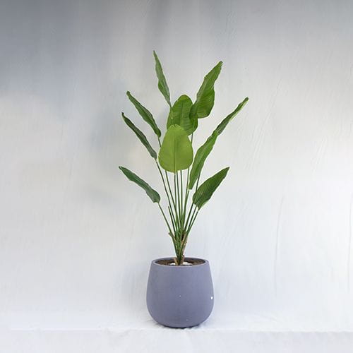 Faux Travelers Banana Large Leaves, 180CM