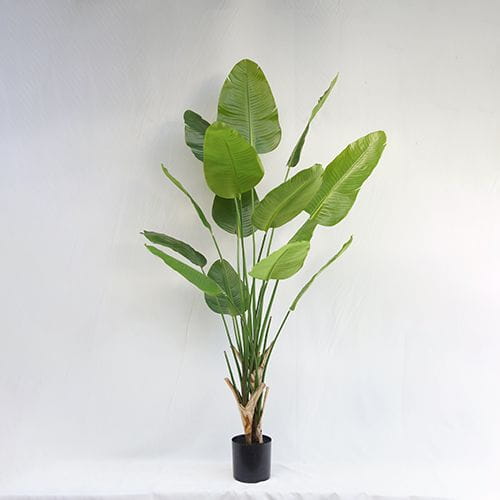Faux 6.9 Feet Ravenala Madagascariensis, 210CM
