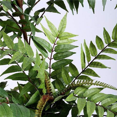 Artificial Ailanthus Altissima