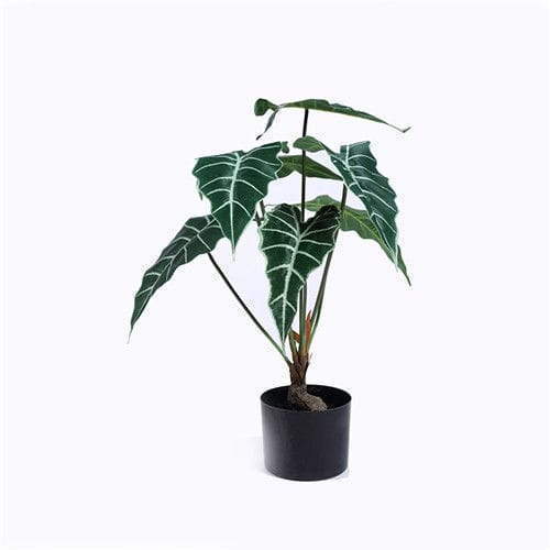 Artificial Alocasia Amazonica