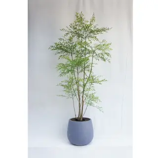 Artificial Sacred Bamboo, 210CM