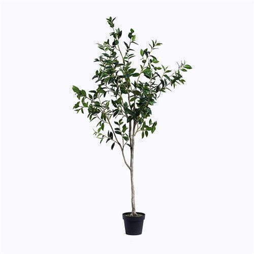 Artificial Bay Trees