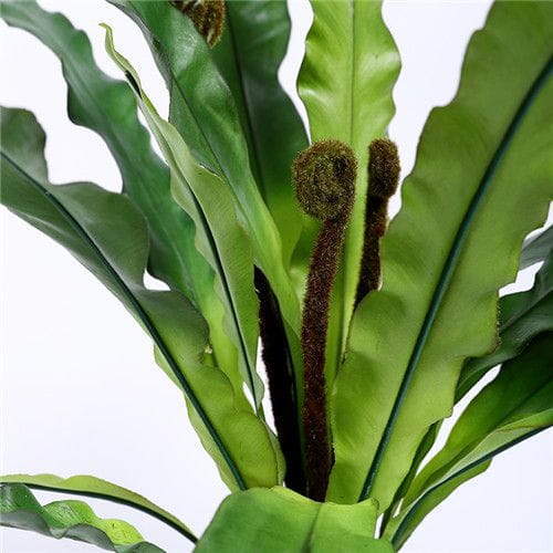 Artificial Bird Artificial Bird's Nest Fern