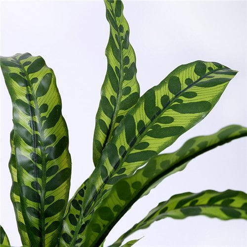 Artificial Calathea Lancifolia