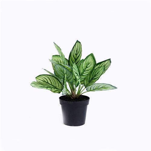 Artificial Calathea Sanderiana