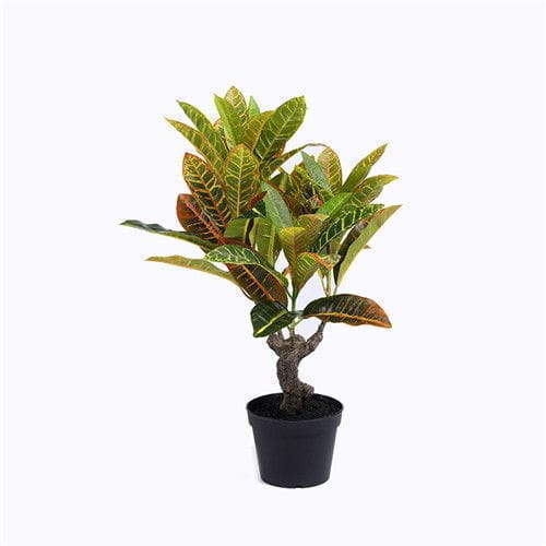 Artificial Croton Plant