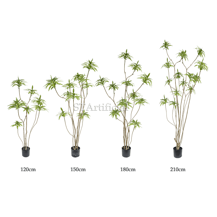 Lily Bamboo details Lily Bamboo details