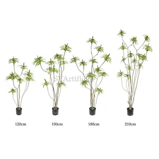 Lily Bamboo details