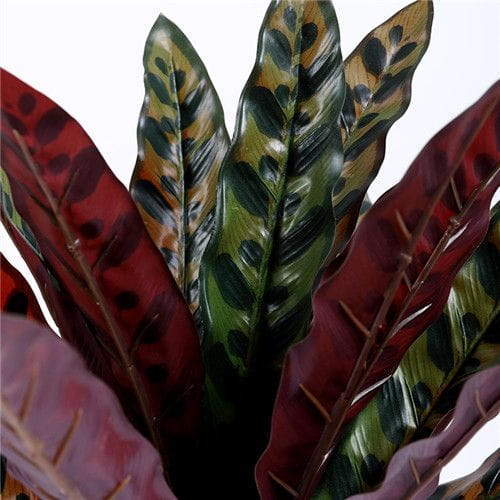 Artificial Silk Rattlesnake Plant