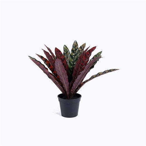 Artificial Silk Rattlesnake Plant