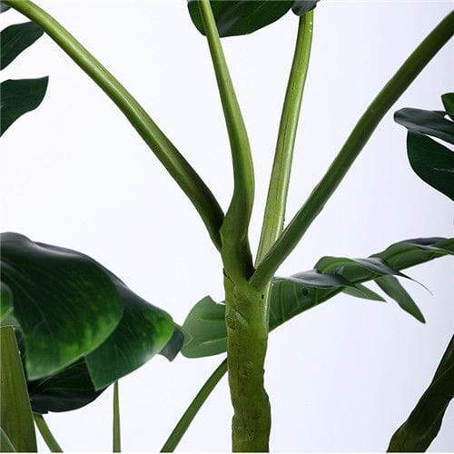 Fake Monstera Deliciosa