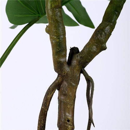 Fake Monstera Deliciosa