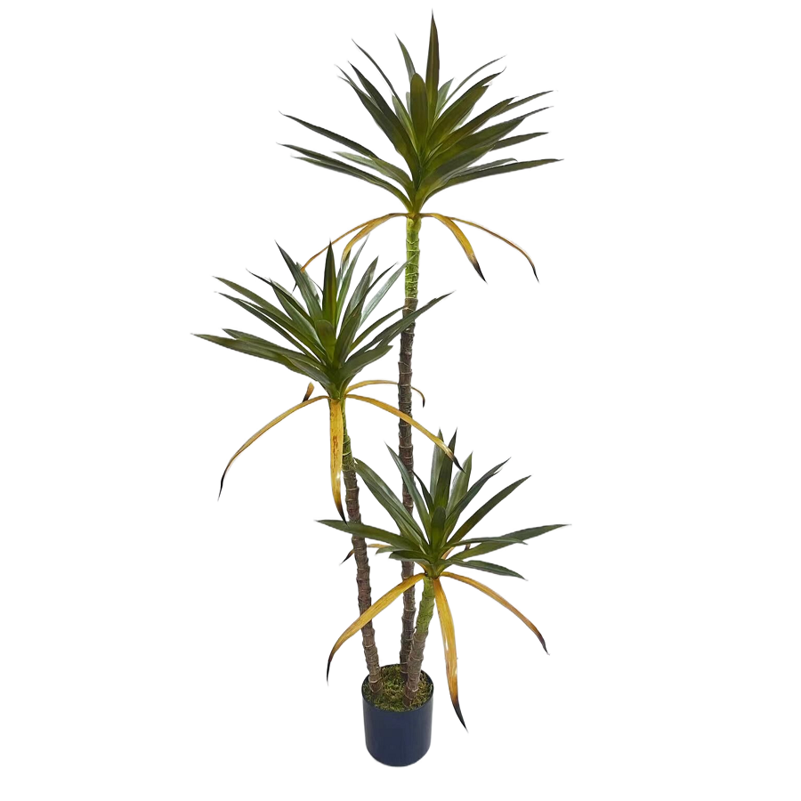 Faux Yucca Plant in Black Planter, 150 CM