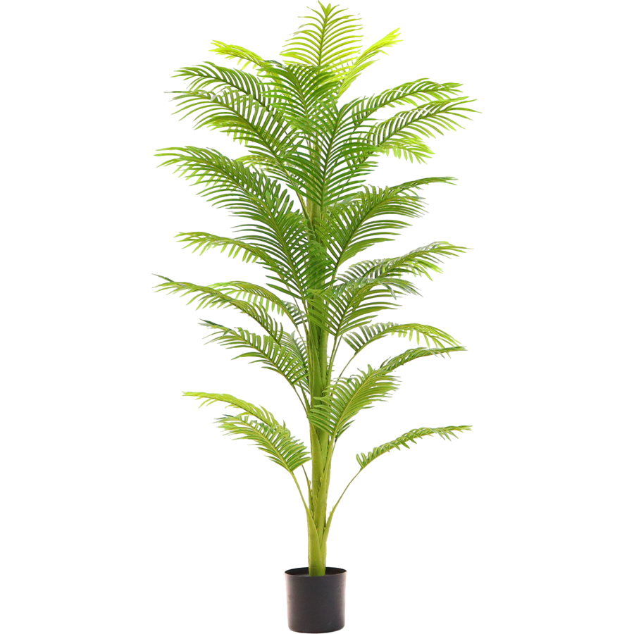 Real Touch Potted Artificial Palm Tree, 180 CM Real Touch Potted Artificial Palm Tree, 180 CM