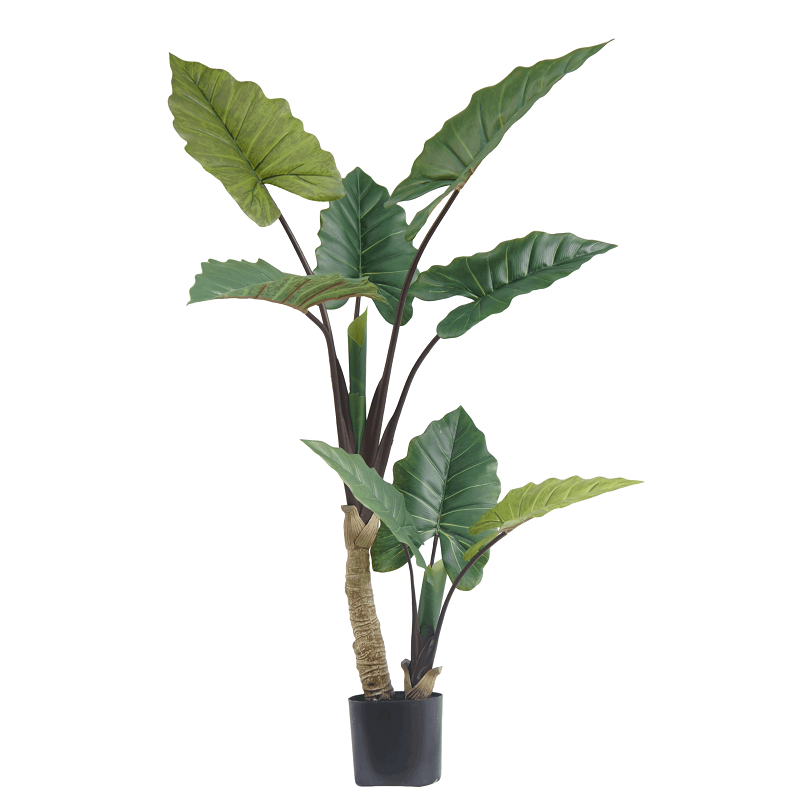 Faux Taro Plant, 150 CM