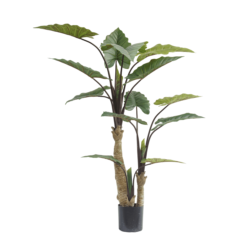 Realistic Taro Trees, 180 CM