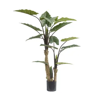 Realistic Taro Trees, 180 CM