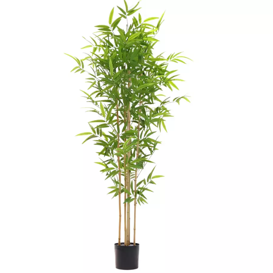 Artificial Potted Twiggy Bamboo Plant, 200 CM