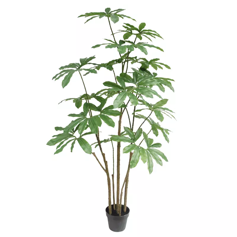 Silk Philodendron Goeldii Plant, 150 CM
