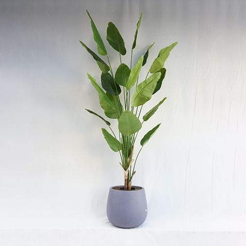 Man-made XXL Strelitziaceae Tree Plastic Pot, 240CM