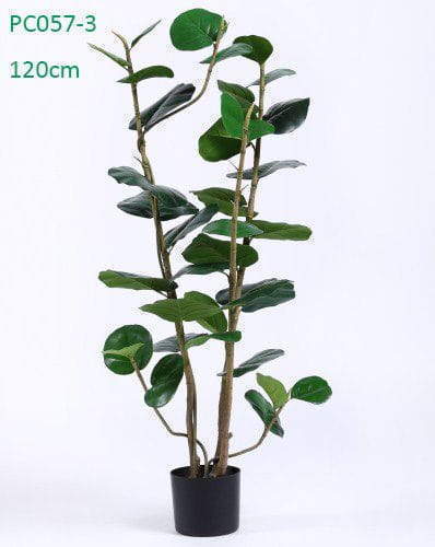 Nearly Natural Silk Tree Polyscias Balfouriana Bailey Nearly Natural Silk Tree Polyscias Balfouriana Bailey
