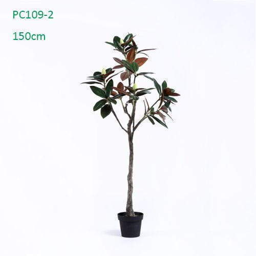 Plastic Magnolia Trees, Unique Design