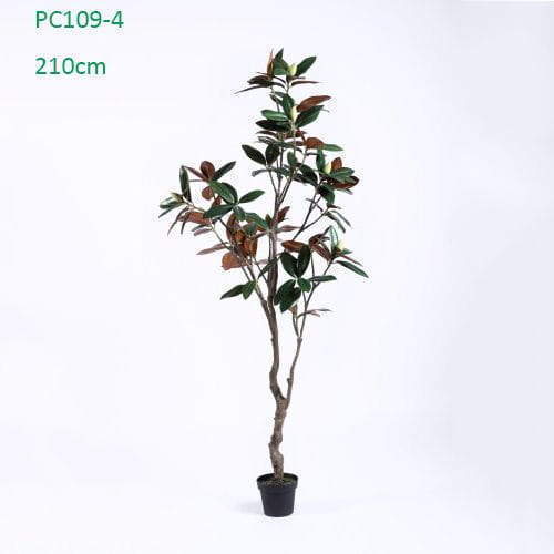Plastic Magnolia Trees, Unique Design