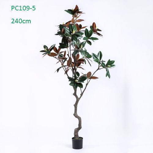Plastic Magnolia Trees, Unique Design